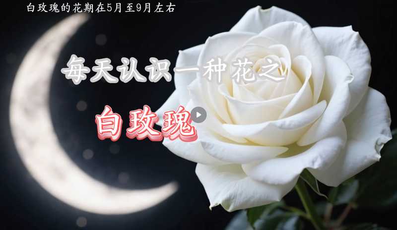 植物科谱视频